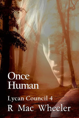 Once Human