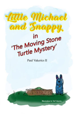The Moving Stone Turtle Mystery