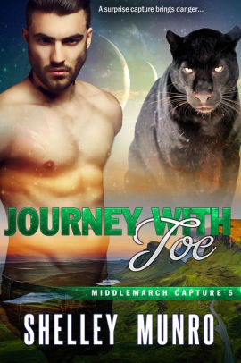 Journey With Joe