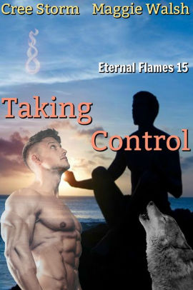 Taking Control Eternal Flames 15