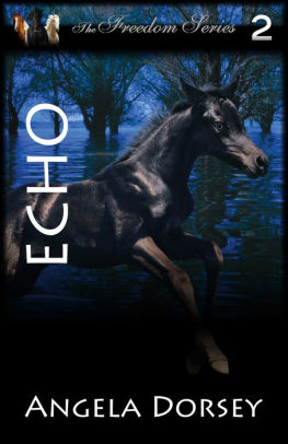 Echo: The Mustang Returns
