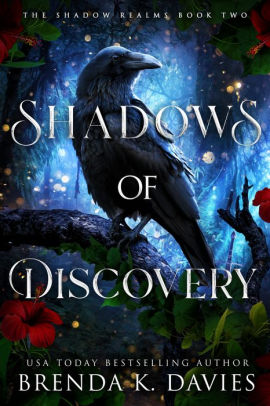 Shadows of Discovery