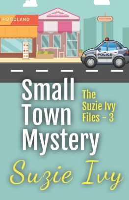 Small Town Mystery Three