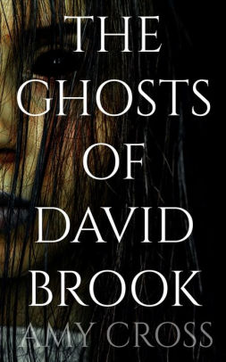The Ghosts of David Brook