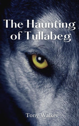 The Haunting of Tullabeg