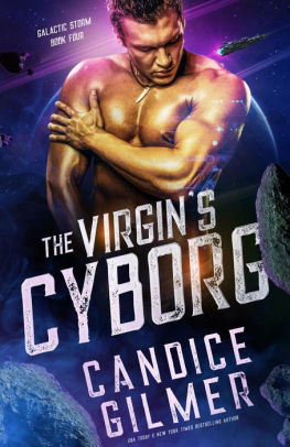 The Virgin's Cyborg