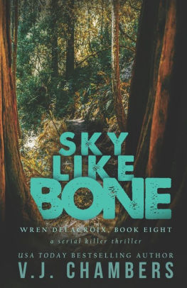 Sky Like Bone