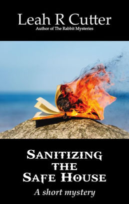 Sanitizing the Safe House