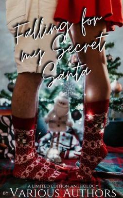 Falling for my Secret Santa