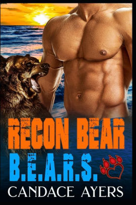 Recon Bear