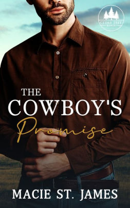 The Cowboy's Promise
