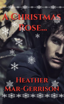 A Christmas Rose...