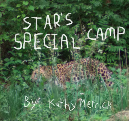 STAR'S SPECIAL CAMP