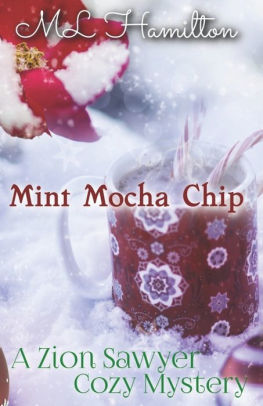 Mint Mocha Chip