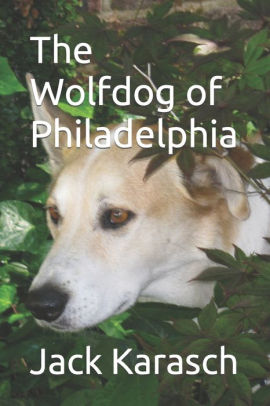 The Wolfdog of Philadelphia