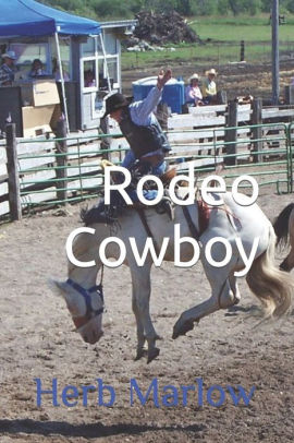 Rodeo Cowboy