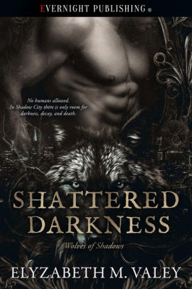 Shattered Darkness