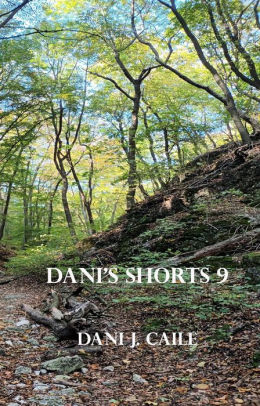 Dani's Shorts 9