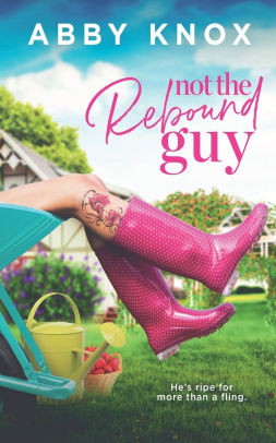 Not The Rebound Guy