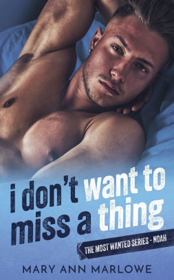 I Don't Want To Miss a Thing