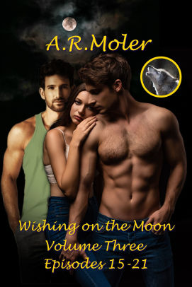 Wishing on the Moon Volume 3