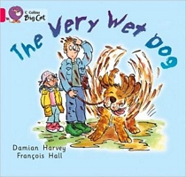 Paperback edition cover