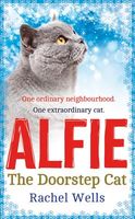 Alfie the Doorstep Cat