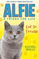 Alfie Cat In Trouble