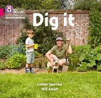 Dig It