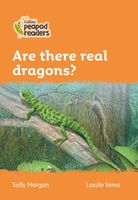 Are there Real Dragons?