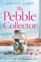 The Pebble Collector