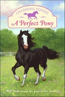 A Perfect Pony