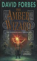 The Amber Wizard