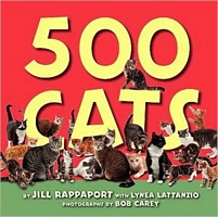 Jill Rappaport's Latest Book