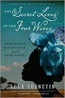 The Secret Lives of Baba Segi's Wives