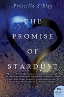 The Promise of Stardust