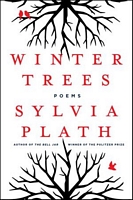 Winter Trees