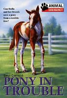 Pony Trouble
