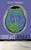 Cover of Bright Angel by Carol Hedges