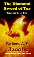 Paperback edition cover