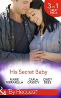 His Secret Baby (By Request) 2