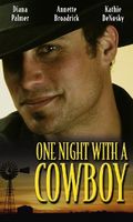 One Night with a Cowboy