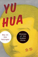 Boy in the Twilight: Stories of the Hidden Chi