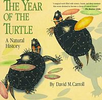 The Year of the Turtle