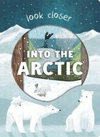 Into the Arctic