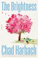 The Brightness book cover