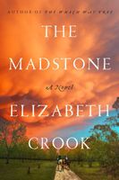 Elizabeth Crook's Latest Book