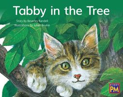 Tabby in the Tree