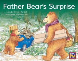 Father Bear's Surprise
