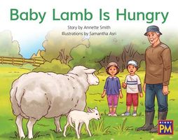 Baby Lamb Is Hungry